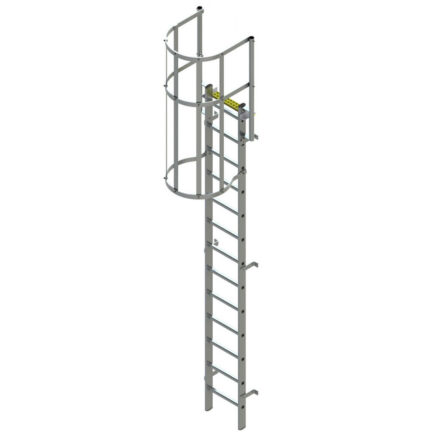 Vertical Fixed Ladder with Safety Cage and Walkthrough - Ladders & Access